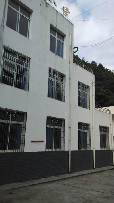 广元青林小学诊断调研项目启动