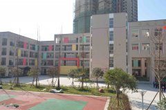 诉智教育项目组对雅安市小学进行了实地调研