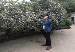 宋家小学记