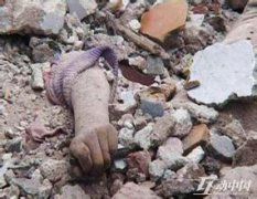 铭记教训-------5.12汶川地震8周年