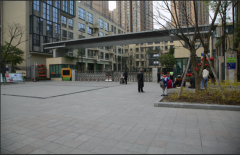 成都高新某校之行