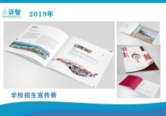 2019年诉智部分项目节选