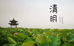 诉智教育2020年清明节放假通知